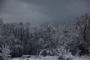 IMG_4224 - watermarked